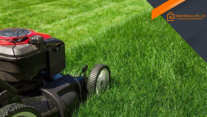 The Ultimate Guide to DIY Lawn Treatment Transform Your Yard with Expert Tips